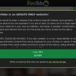 dinotube.com