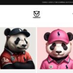 Pandoostore.com
