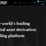 dyd-x.com