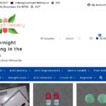 overnight-delivery.us