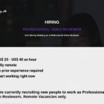 professionalvideoreviewer.com