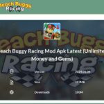 beachbuggyracing.net