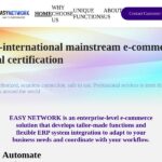 easynetworkgroup.com