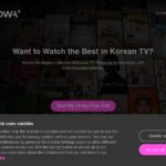 kokoatv.net
