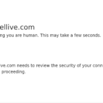 novellive.com