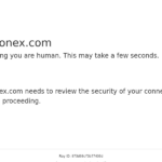 vavonex.com