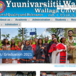 wollegauniversity.edu.et