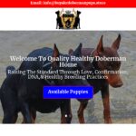 Buyakcdobermanpups.store