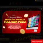 luna32033.com