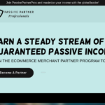 passivepartnerpros.com