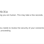 renzo.icu