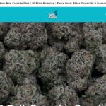 bulk.baysmokes.com