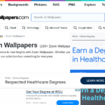 dtdns.com