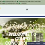 grupoconcordia-lda.com