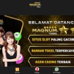 magnumtogel.com
