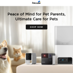 petcube.com