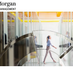 vsmorgan.com