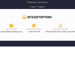 bitassetoptions.com