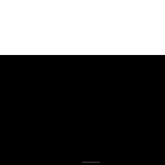 crypticwebster.com