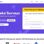 eurekasurveys.com
