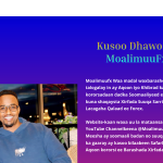 moalimuufx.com