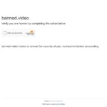 banned.video