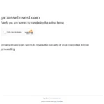 proassetinvest.com