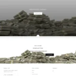 recordingmoney.com