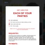 thesellusedpanties.com