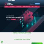 vaionexinvestment.com