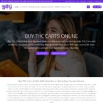 bigvapestore.com