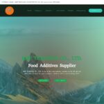 bmftradingss.com