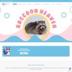 raccoonheaven.com