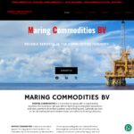 lnbgcommodities.net