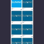 suning.ltd