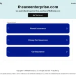 theaceenterprise.com