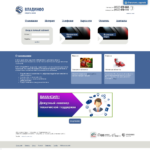 vinfo.ru