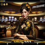 vivo303.space