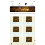 app.vipferretti.com