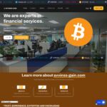 avvinss-gain.com