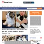 lovemeow.com
