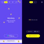monkey.cool