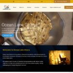 oceanlaneghana.com