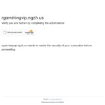 rgaminingvip.ngzh.us