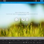 flickrprints.com