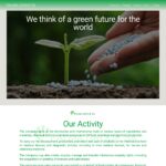 palmagroupsa.com