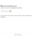 phluckincoffeeint.com