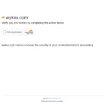 wykex.com
