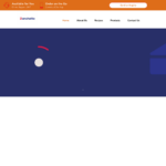 zanchettabr.com