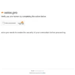 Xelox.pro